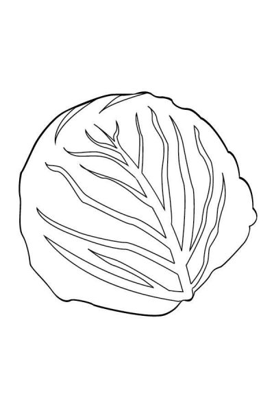 Трафарет лист капусты
