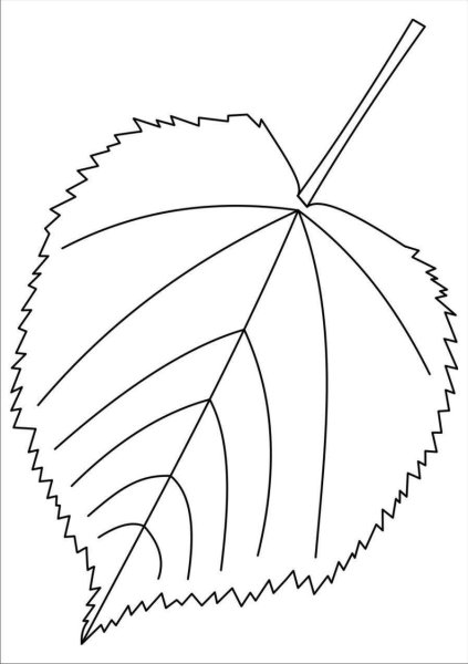 Раскраска листок дерева