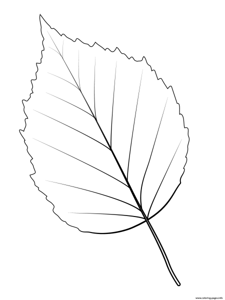 Лист березы раскраска