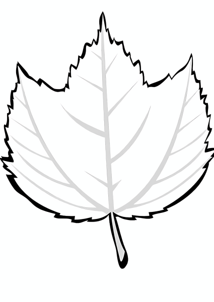 Листья деревьев раскраска