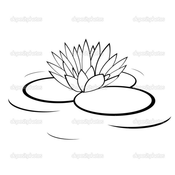 Лист кувшинки раскраска