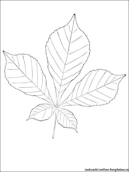 Каштановый лист трафарет