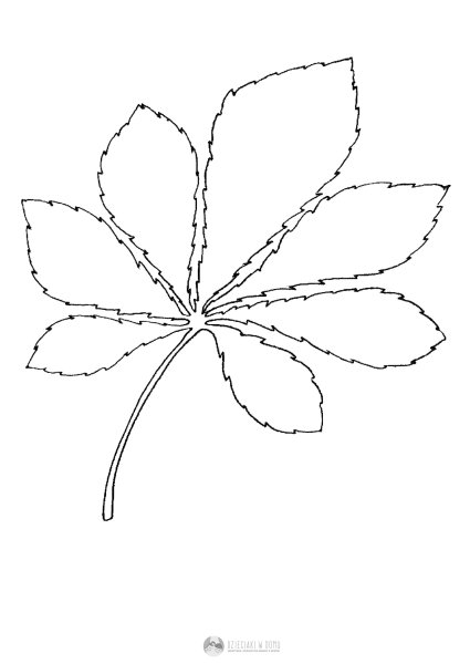 Лист каштана трафарет