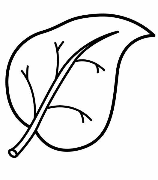 Листочки раскраска для детей