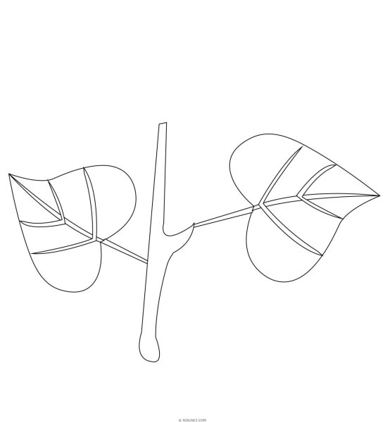 Ветка сирени раскраска