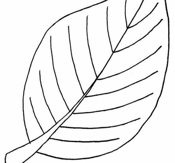 Лист яблони трафарет
