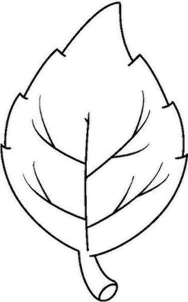 Березовый лист раскраска