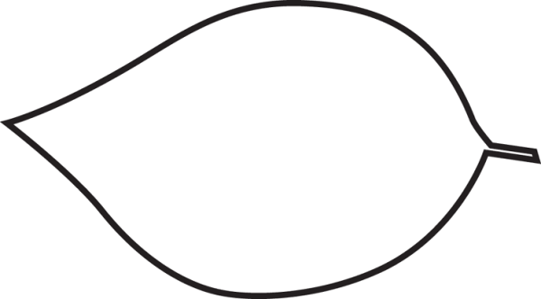 Листья яблони контур