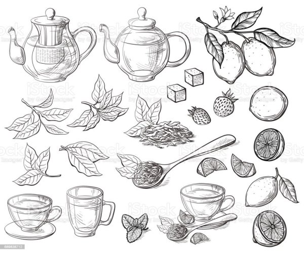 Чай Графика вектор