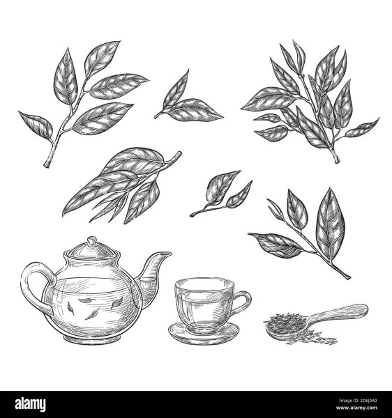 Стилизованный чайный лист