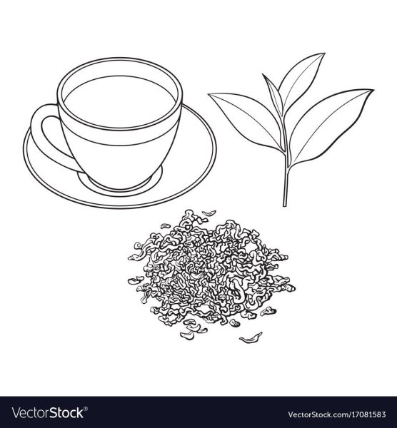 Чайный лист скетч