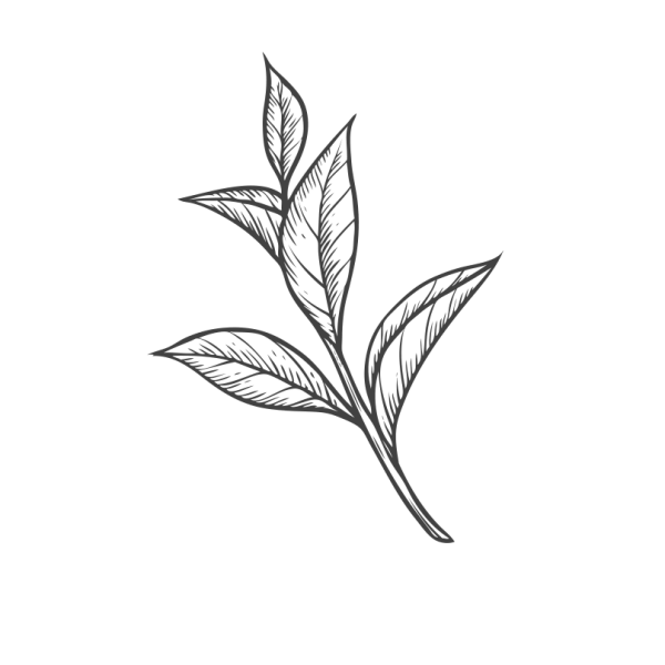 Чайные листья Графика