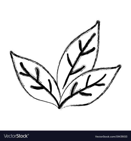 Чайные листья Графика