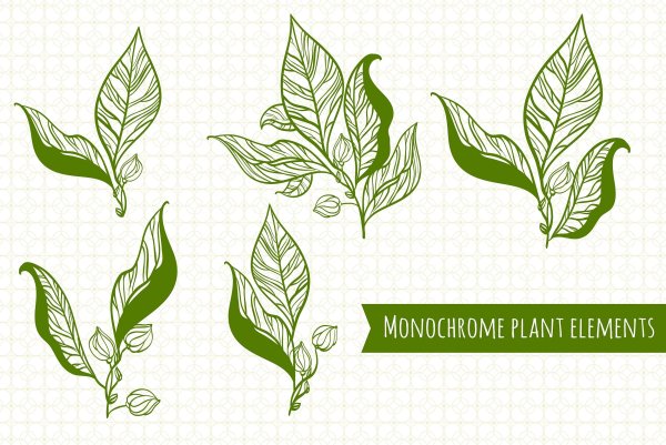 Чайные листья Графика