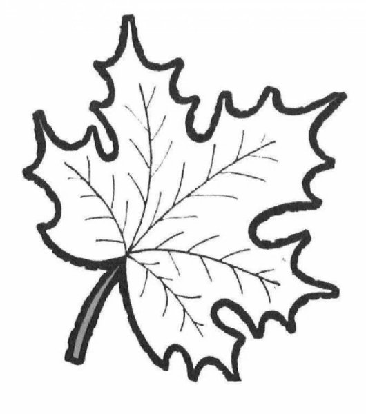 Листья раскраска