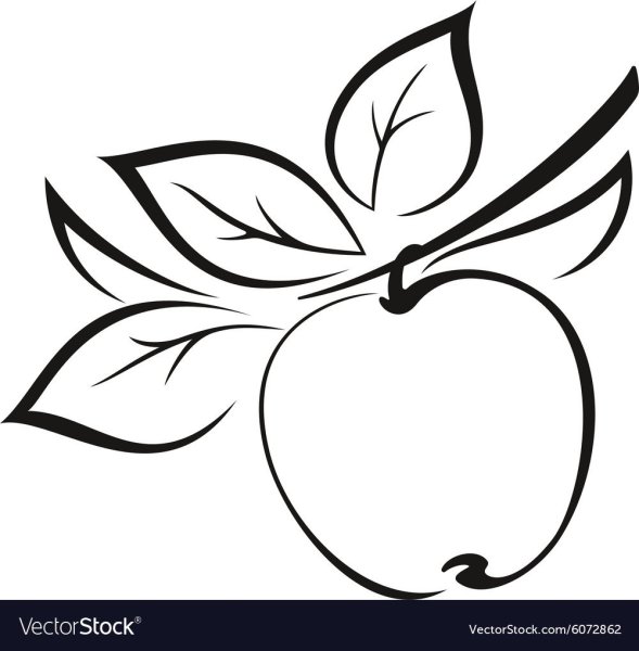 Листья яблок чб