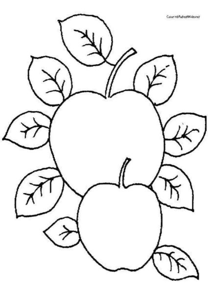 Раскраска большие и маленькие яблоки