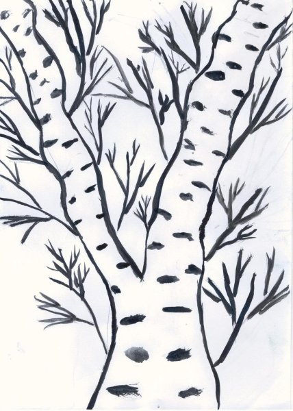 Береза раскраска для детей