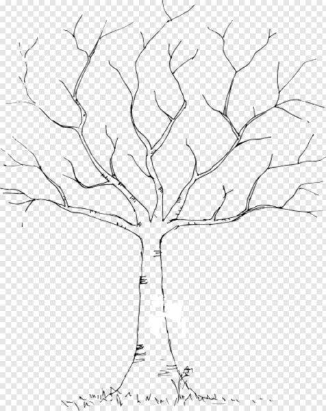 Осеннее дерево карандашом