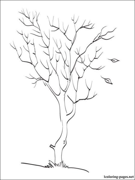 Осеннее дерево шаблон для рисования