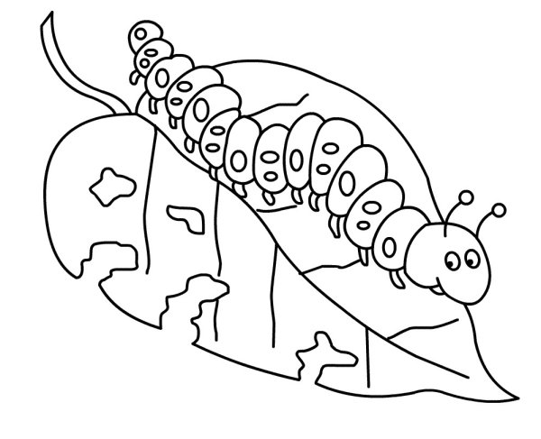 Гусеница листовертка раскраска
