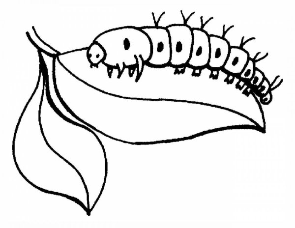 Злая гусеница раскраска