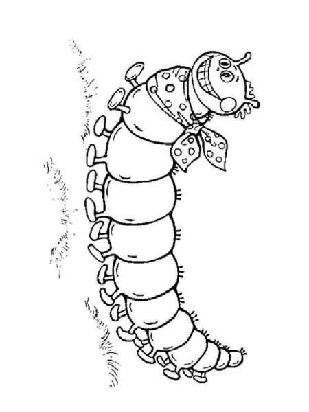 Гусеница раскраска для детей
