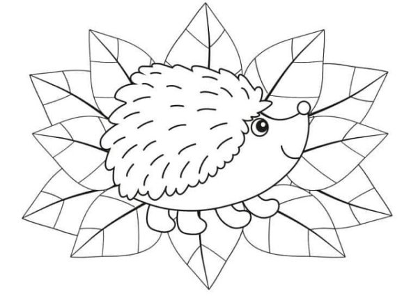 Шаблон ежика для аппликации из листьев