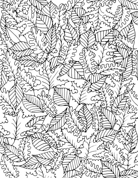 Осенние раскраски антистресс