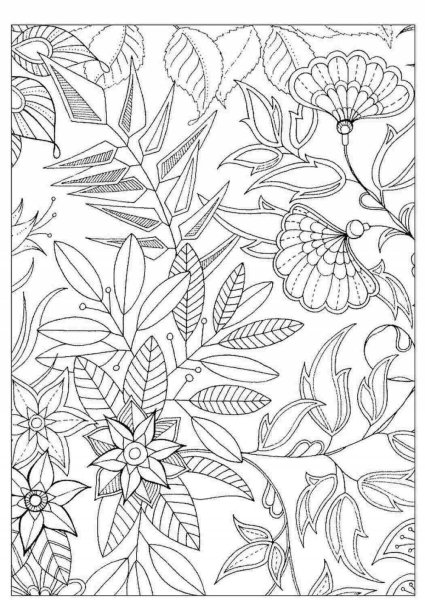 Раскраска для взрослых листья