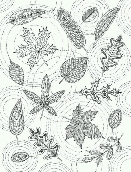 Раскраска антистресс листья