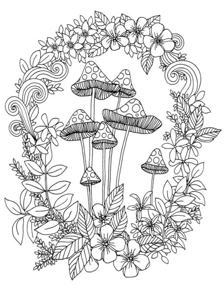 Раскраска антистресс грибы