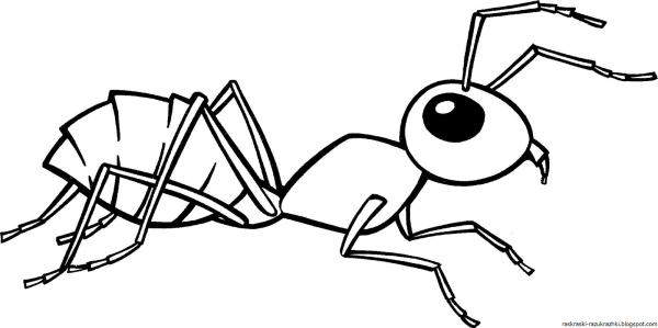 Муравей раскраска для детей