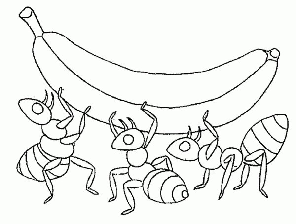 Насекомые раскраска для детей