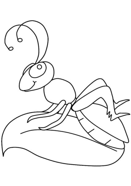 Бианки приключения муравьишки раскраска