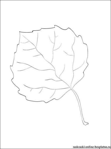 Лист осины контур