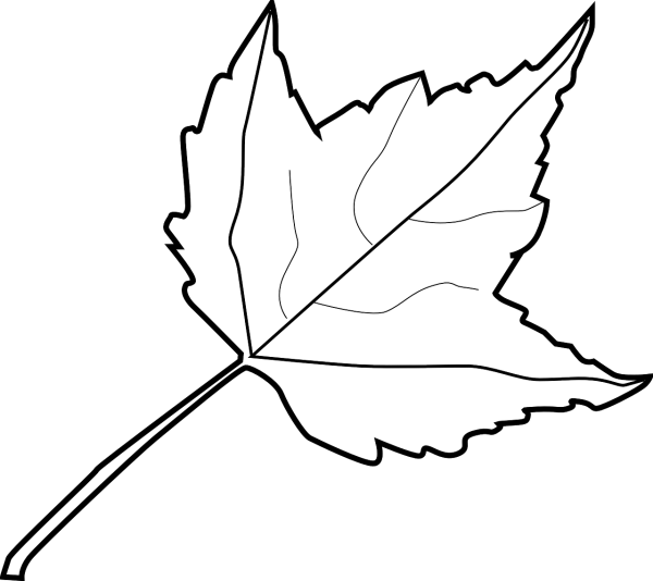 Листья рисунок