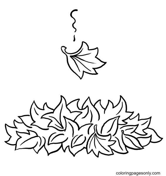 Раскраска осень листья