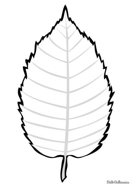 Листья раскраска