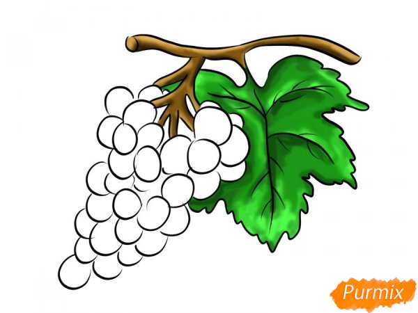 Нарисовать ветку винограда