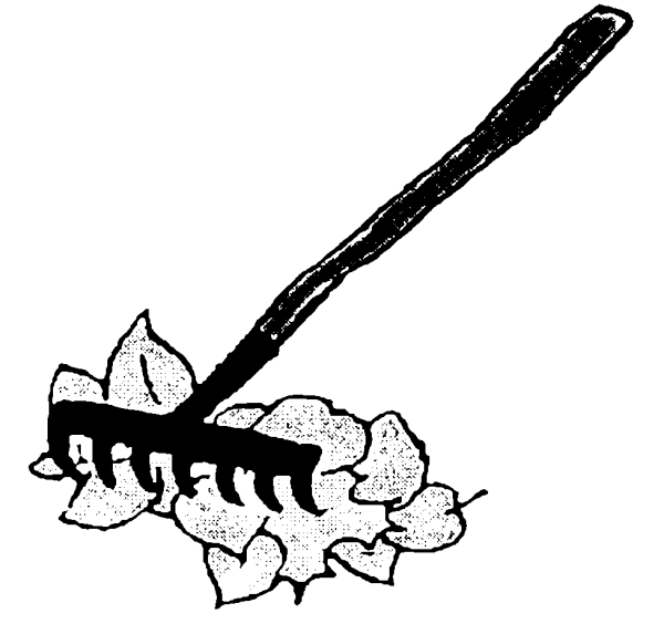 Грабли карандашом