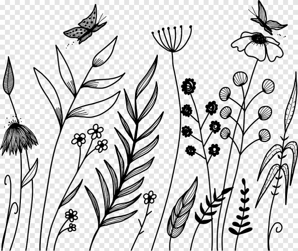 Полевые цветы в графике