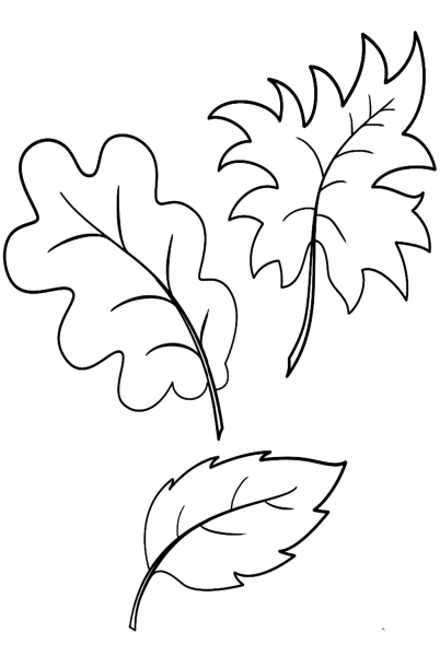 Осенние листья раскраска для детей