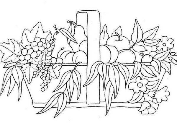 Осенний натюрморт раскраска