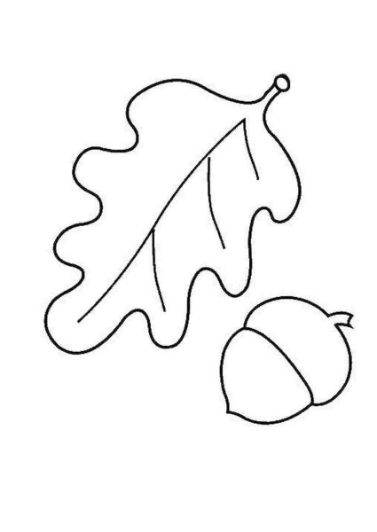 Листья дуба раскраска для малышей