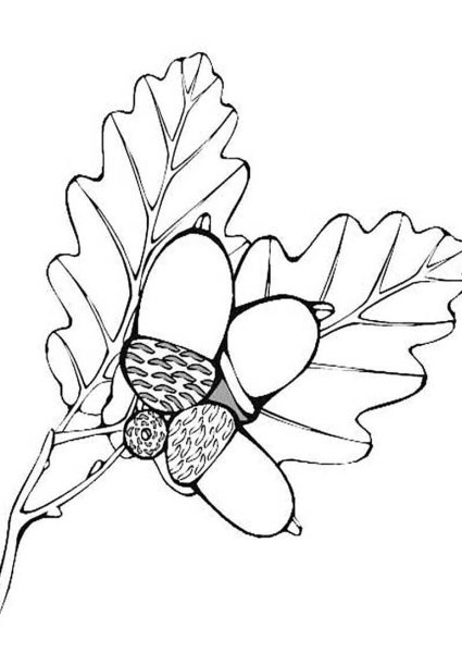 Каштан для раскрашивания
