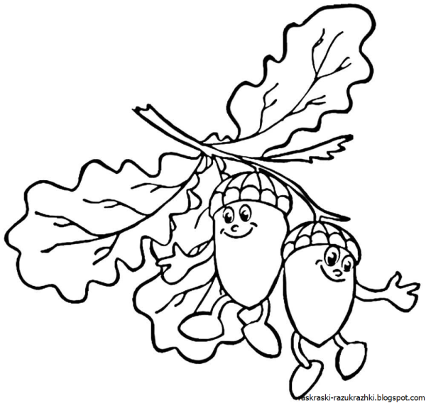 Желудь раскраска для детей