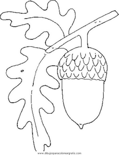 Желудь трафарет