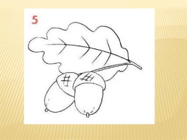 Рисование Дубового листа