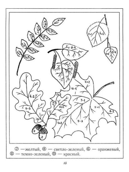 Осенние раскраски с заданиями